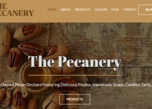 Pecan nuts and handmade pecan products at The Pecanery orchard.